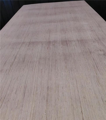 Plywood di 12mm di empaketahe